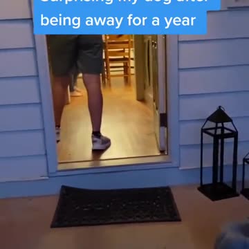 "Baby's Playtime Adventures! 🍼✨ #BabyPlay #CuteKids #ToddlerLife