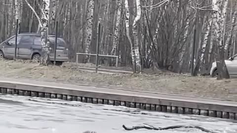 Sweet people are helping a dog to get out of freezing water.