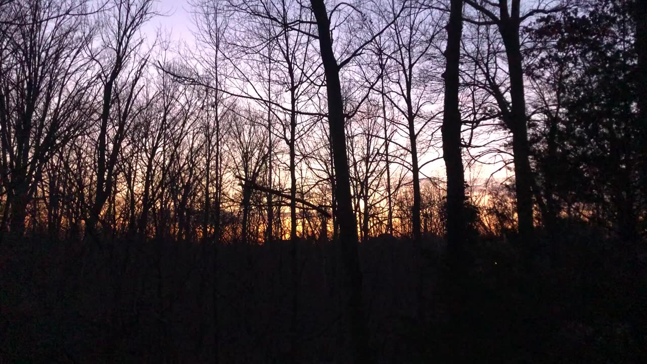 January 7, 2020 - A Beautiful End to a Sunny Winter Day