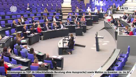 AfD Bundestag - Wahrheiten Abschiebung