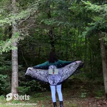 Got My Hogwarts Letter Via My Scarf #harrypotter #wizardingworld#backtohogwarts #hogwarts