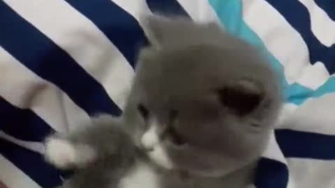 Do you think I'm cute?