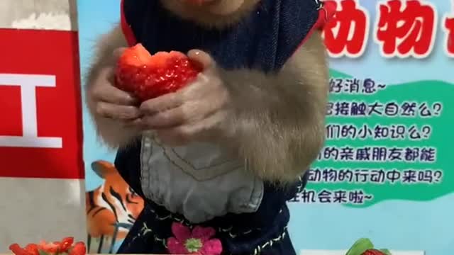 Big strawberries are delicious when you look at them😁