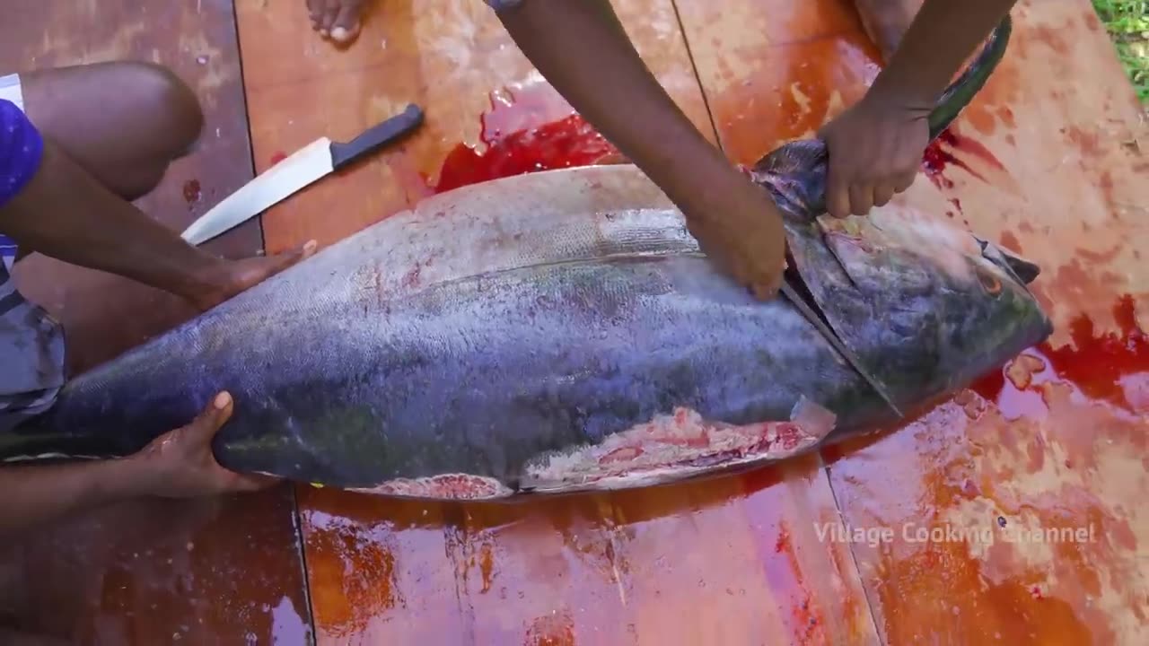 200 Pounds Big Tuna Fish tuna fish cutting and cooking in village