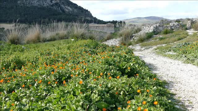 path towards the doric temple of segesta in italy