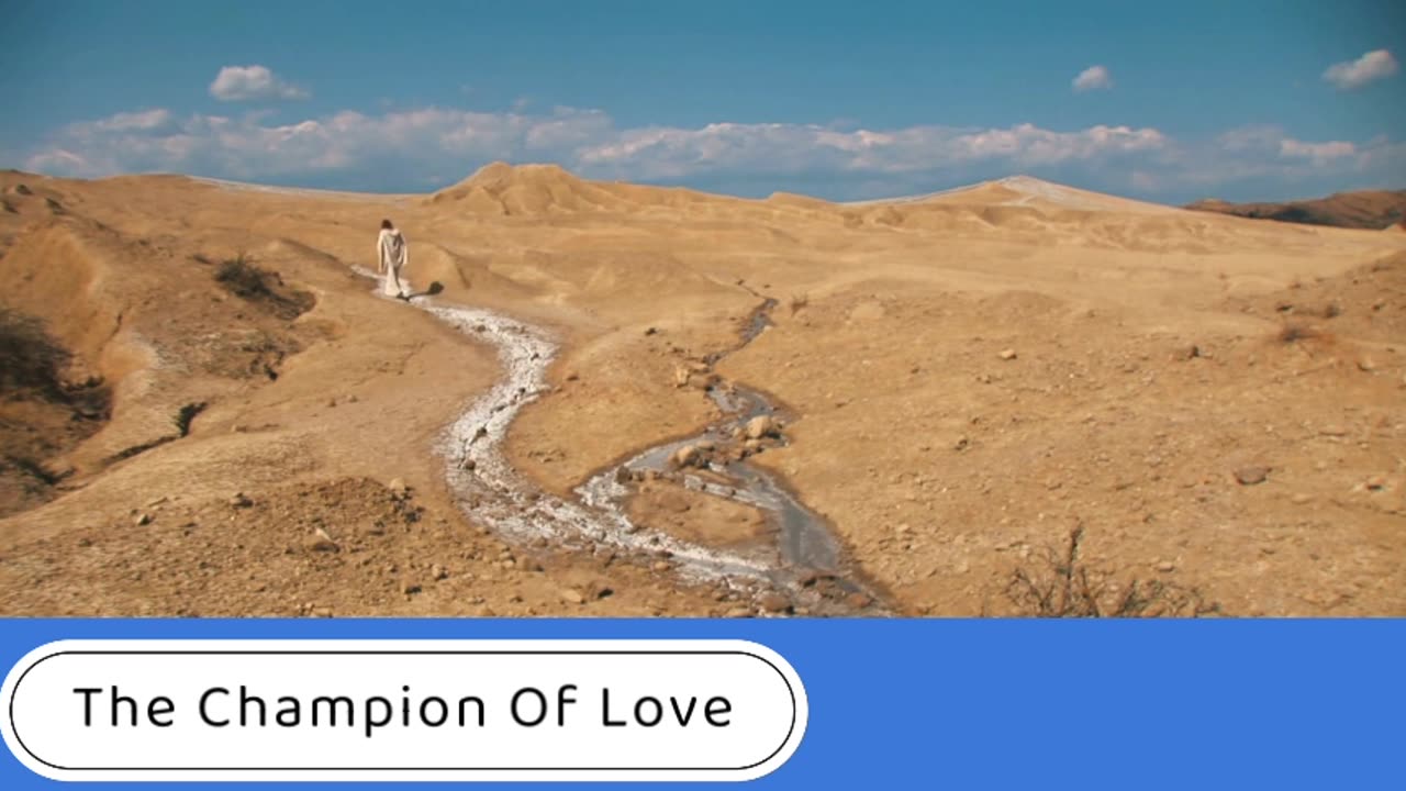 Champion Of Love