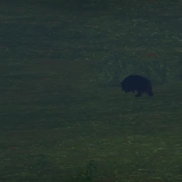 The Behind Butt Blinker in Hunter Call of the Wild