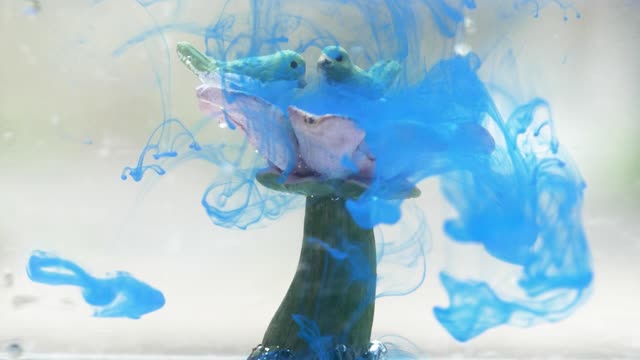 Blue Color Drops in Slow Motion