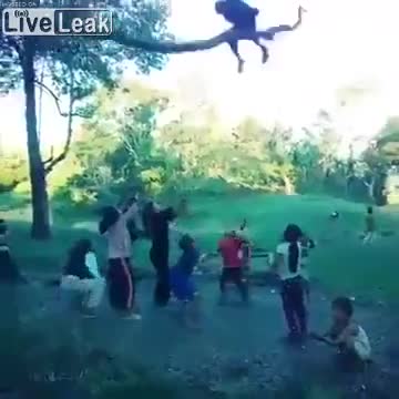 Fun with tree