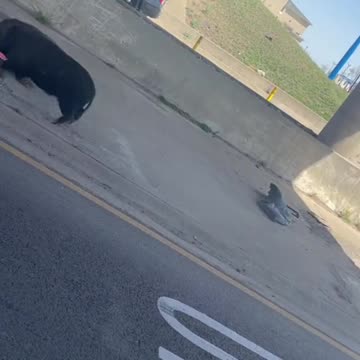 .Just another day in Texas 🤣