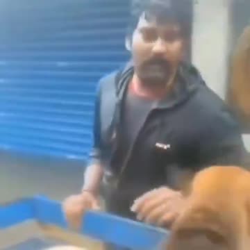 Hey...dogs are people too