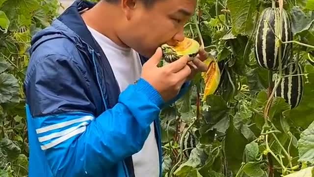 Farm Fresh Ninja Fruit Cutting Desi Satisfying Fruit Ninja Fruit Ideas | Amazing Fruits Video