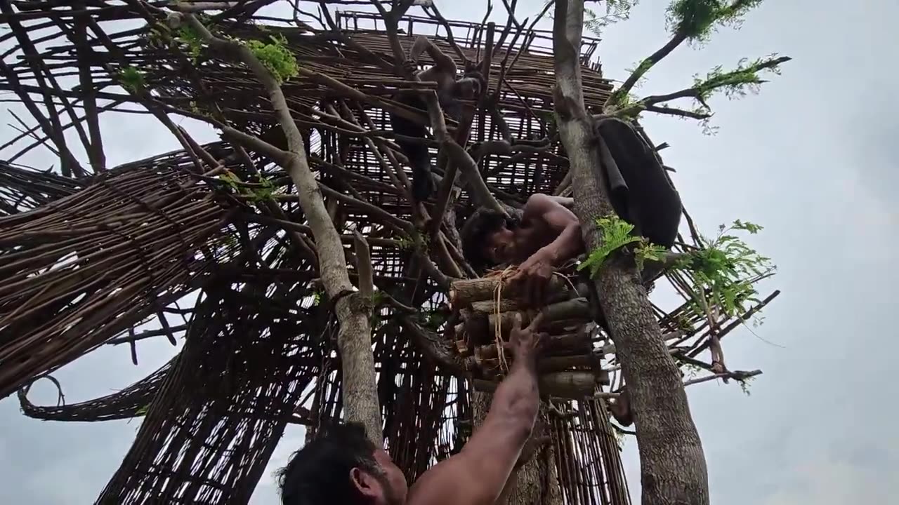 Incredible ! squid house made of soil on trees [ Part1]