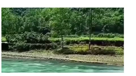 Pemandangan Alam Sejuk