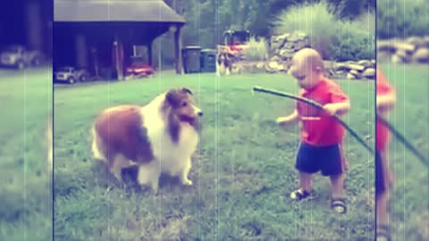 Cute baby and doge play with house very funny video -2021