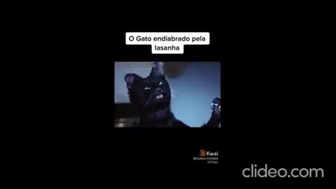 o gato quer lasanha agora pt 1