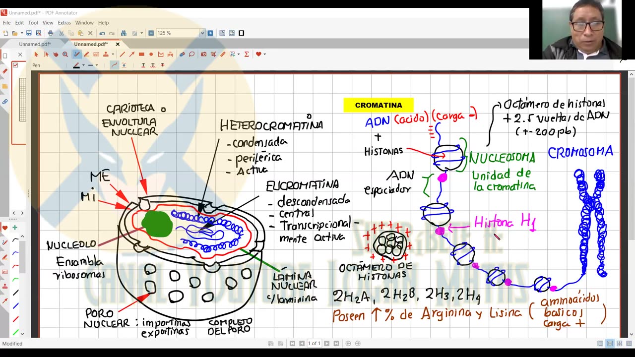 ANUAL ADUNI 2023 | Semana 09 | Química S1 | Literatura | Biología S1 | Lenguaje