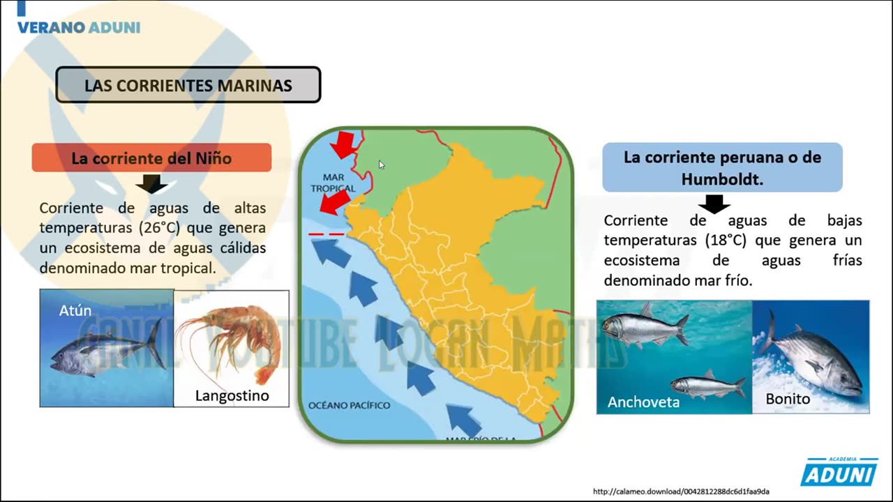 VERANO ADUNI 2022 | Semana 07 | Geografía