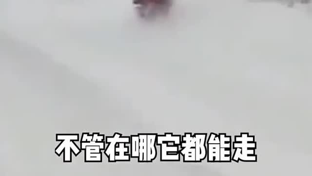 Autonomous snowmobile, dubbed in Chinese.