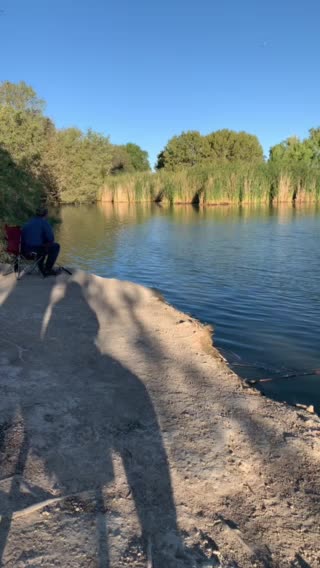 Floyd lamb park peace