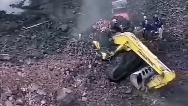 Viral video of the year