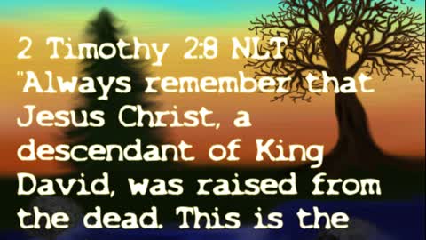 Daily Message from Rev. Ernie, August 11 2022