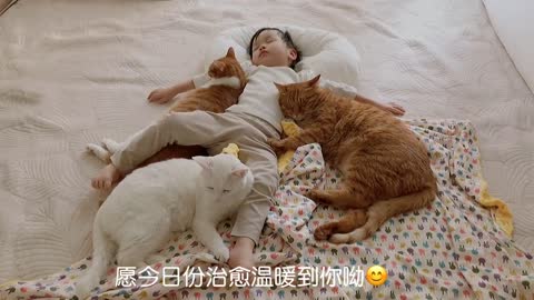 Baby and Cat Sleep Together