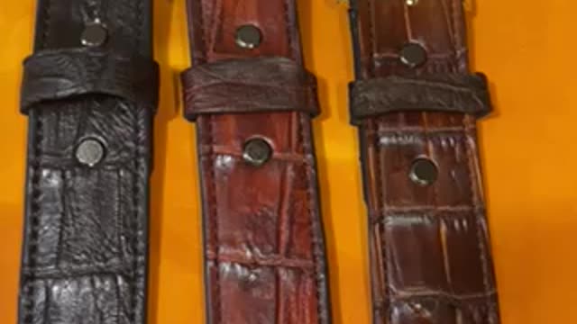 My gator belts