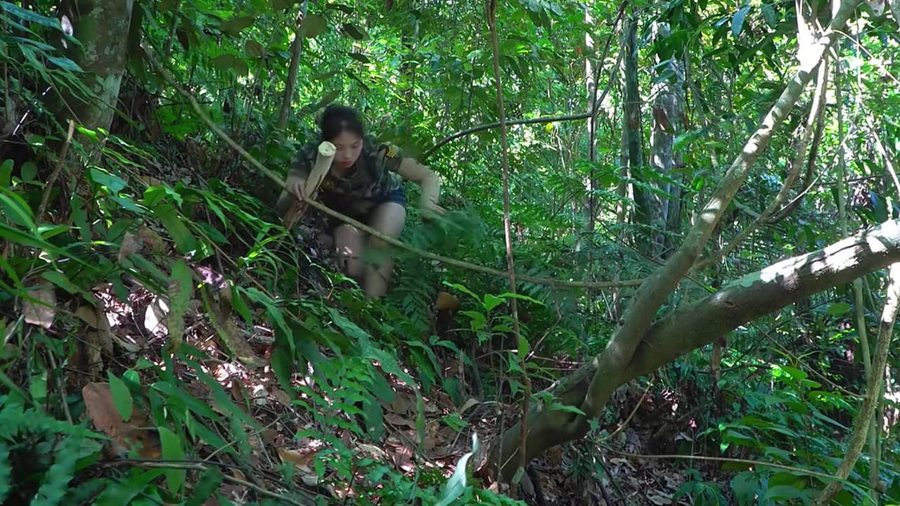 Building a Bamboo House in the Forest: A Solo Adventure in Wild Building