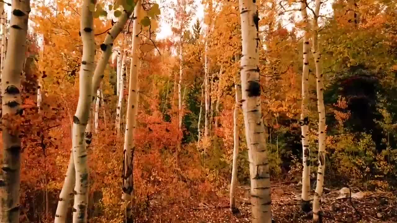 Drone captured time lapse footage