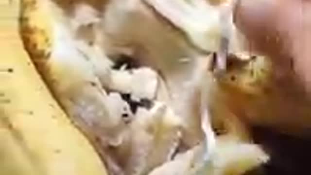 Everyone Should Check their Fruits before Eating ..