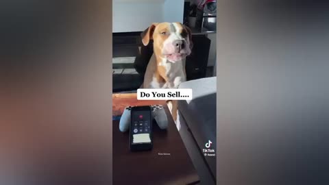 Funny video 2023