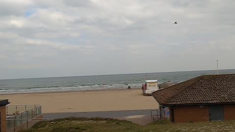 Overlooking a beach.