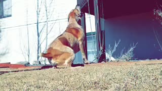 Henry can't get the ball