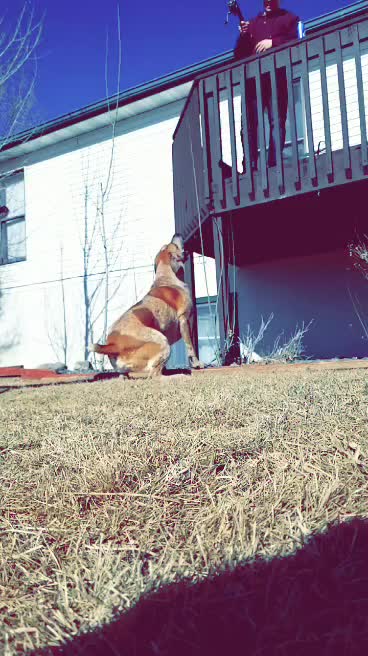 Henry can't get the ball