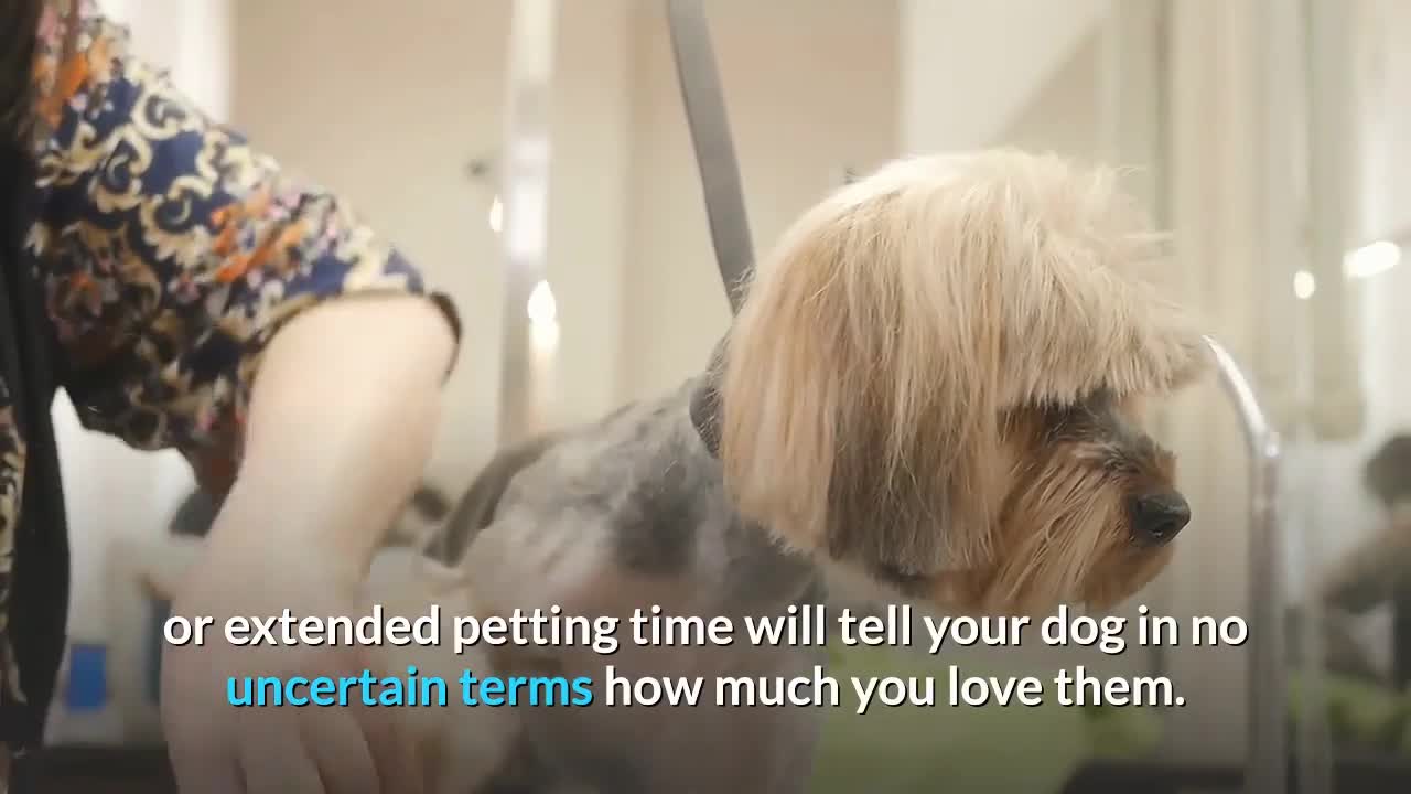 The sweet ways to say I love you in dog language