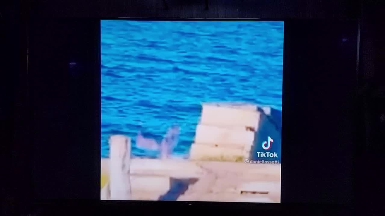 Is this an Alien Sea Mermaid? WTF???