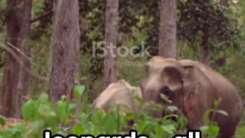 Beauty of Kerala
