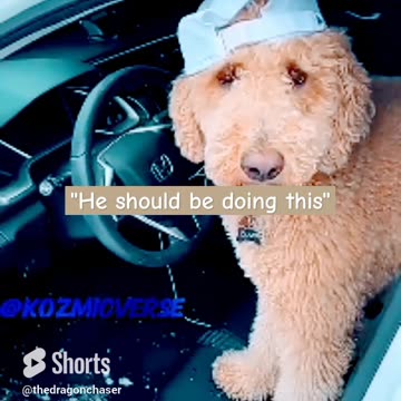 STRONG & INDEPENDENT MENTAL BREAKDOWNS: "HE SHOULD BE DOING THIS"