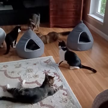 Laser pointer time again