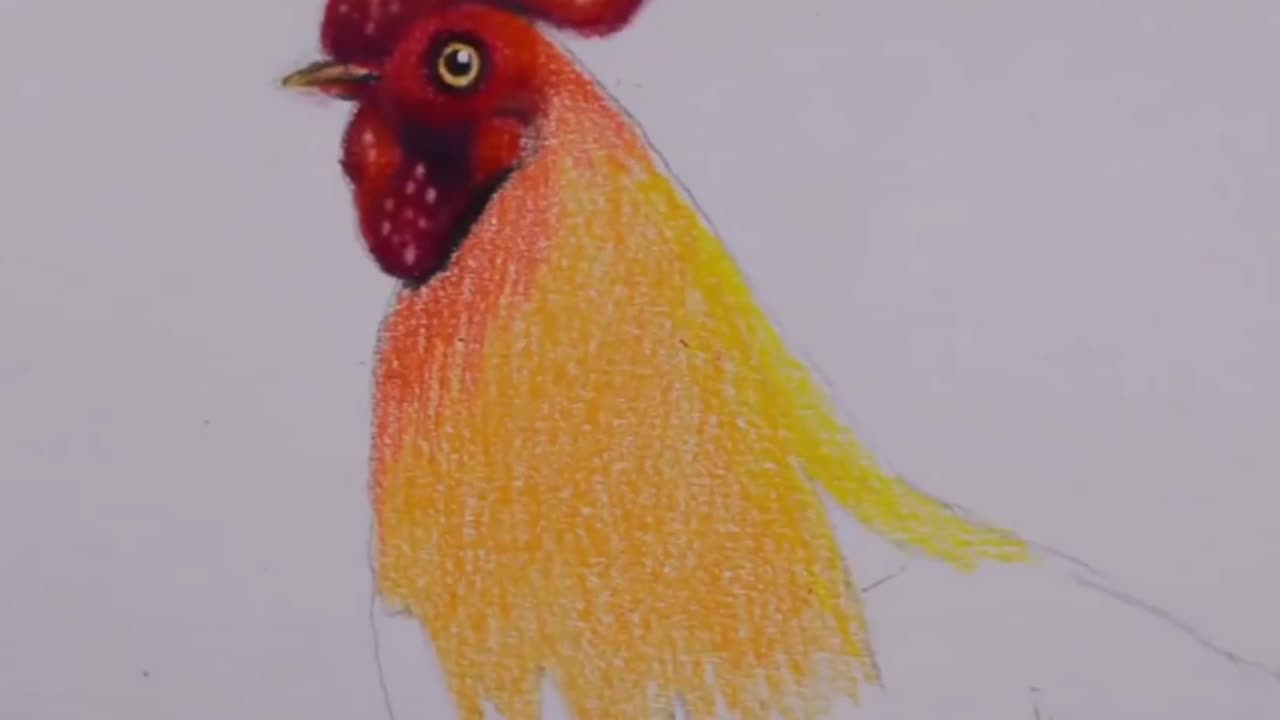 Color The Neck Of A Rooster