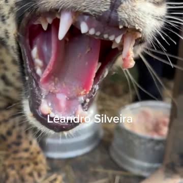 funny|prank|jokes|funny jokes|dad jokes|funny memes|funny video|fun|laughing|funny animal|knock