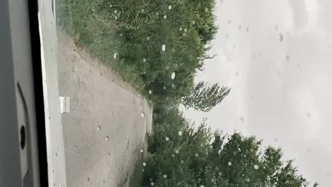 Beautiful day
