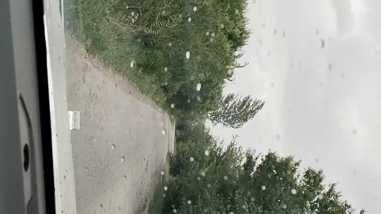 Beautiful day