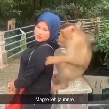 Monkey Girls feeling sexully wowo