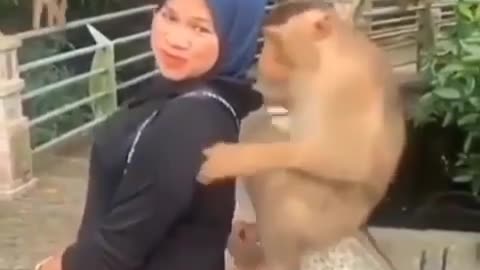 Monkey Girls feeling sexully wowo