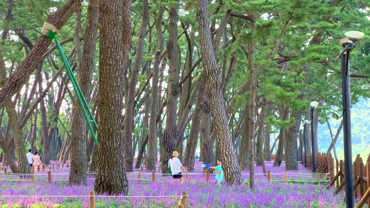 people taking a walk on a beautiful forest road