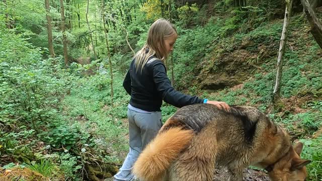 Huge dog with his girlfriend in the jungle