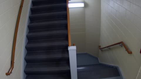 3889FHOB05Stair10_2021-01-06_15h00min01s727ms.mp4
