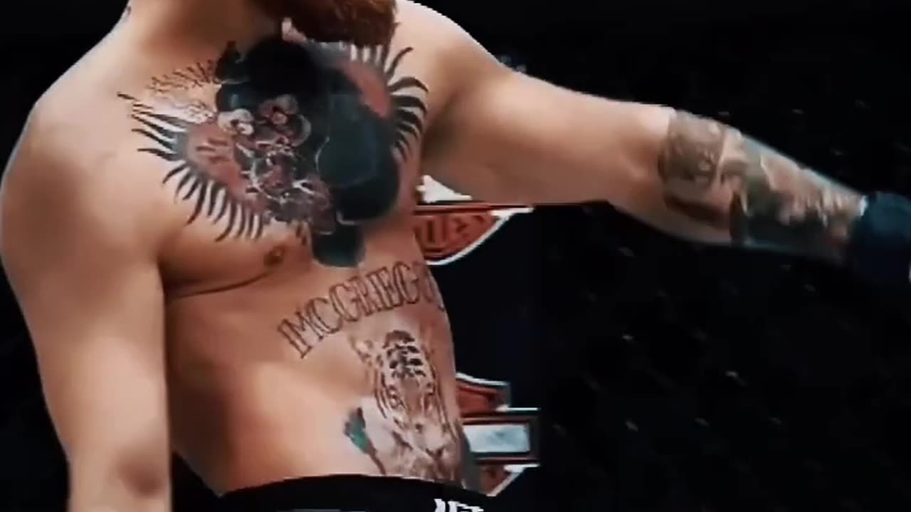 Conor Mcgregor the notrious👑👑👑
